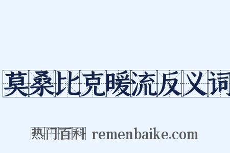 莫桑比克暖流反义词是什么意思的图片